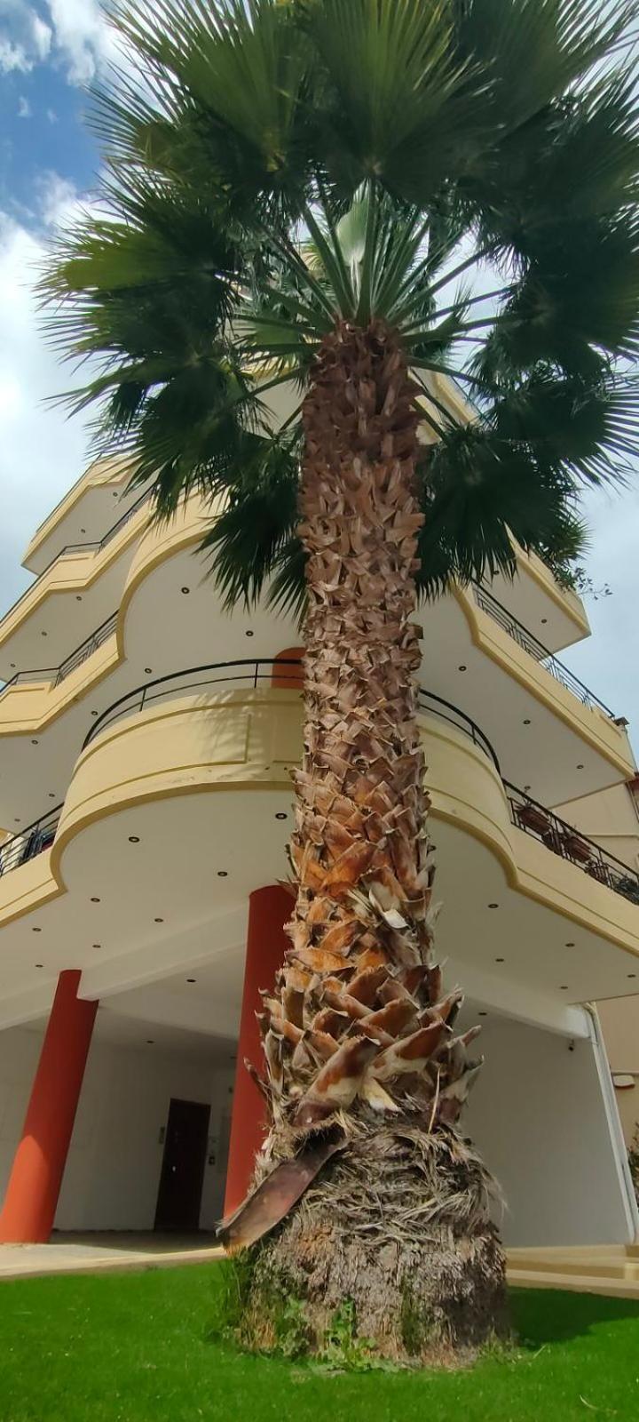 Garden Luxury Apartment Heraklion Zewnętrze zdjęcie