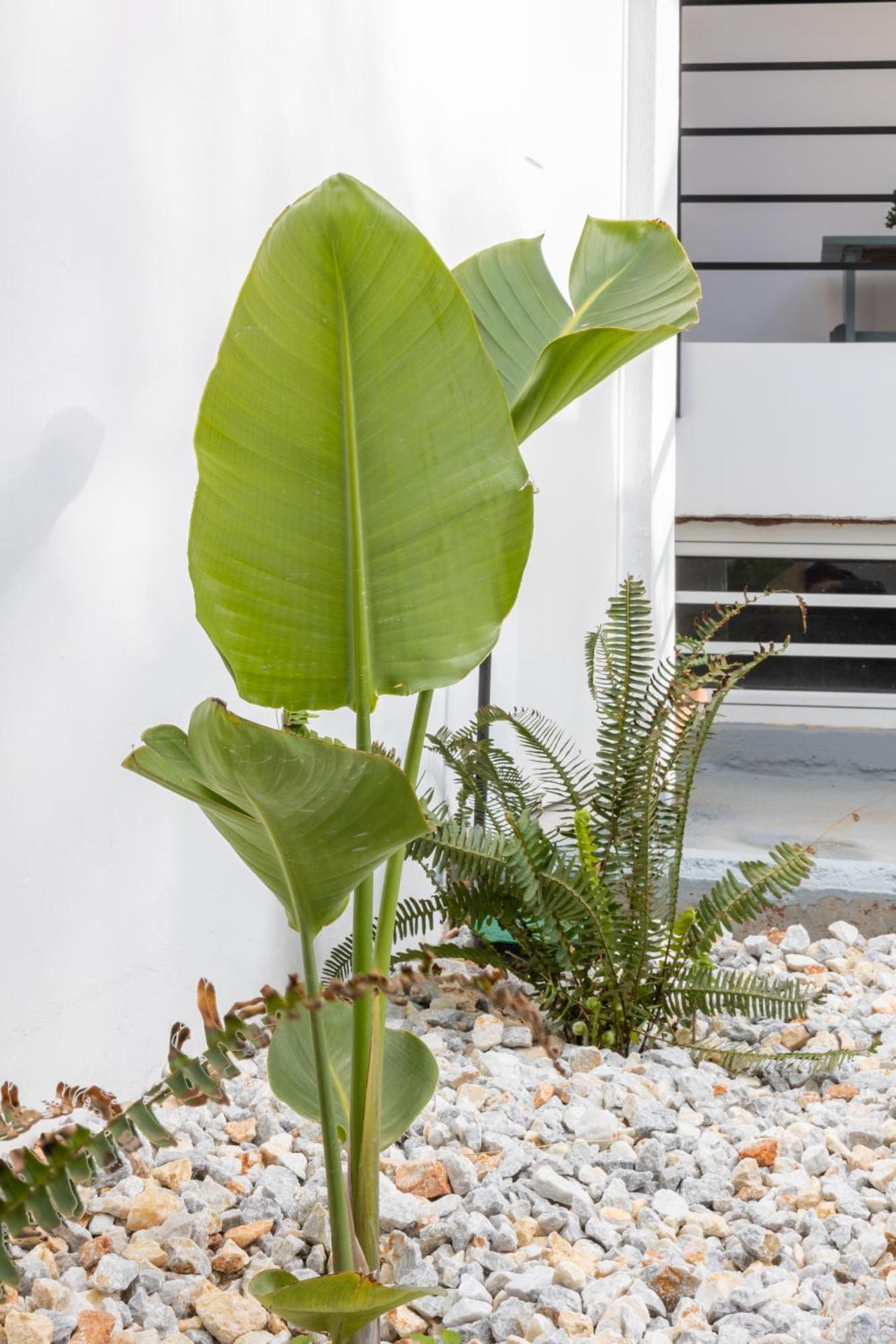 Garden Luxury Apartment Heraklion Zewnętrze zdjęcie